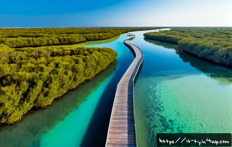 Home 13 맹그로브 생태계 보존을 위한 정책 개선 필요성 - Photorealistic aerial view of a protected Mediterranean mangrove lagoon in southern Italy, dense gre...
